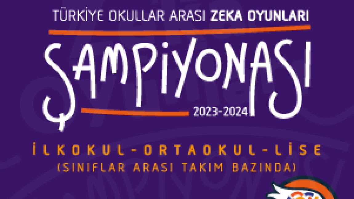Türkiye 28. Zeka Oyunları Yarışma Başarılarımız